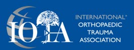 Logo IOTA