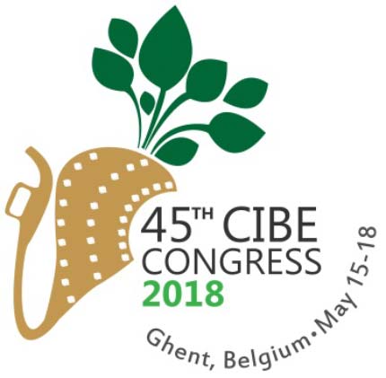 Logo CIBE