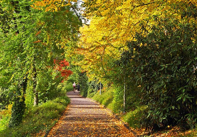 Hofgarten